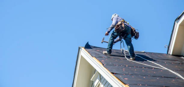 Best Roof Gutter Cleaning  in Port Salerno, FL